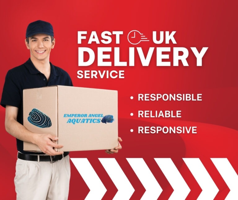 Fast UK delivery service