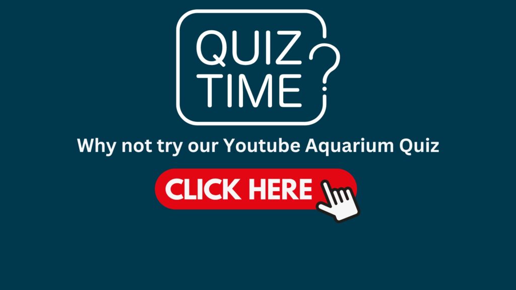 Fish Quiz Logo