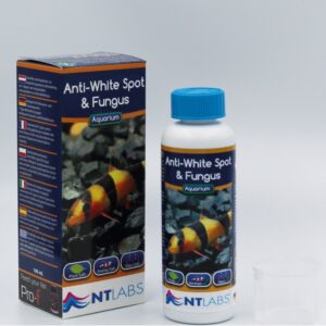 whitespot and fungus treatment