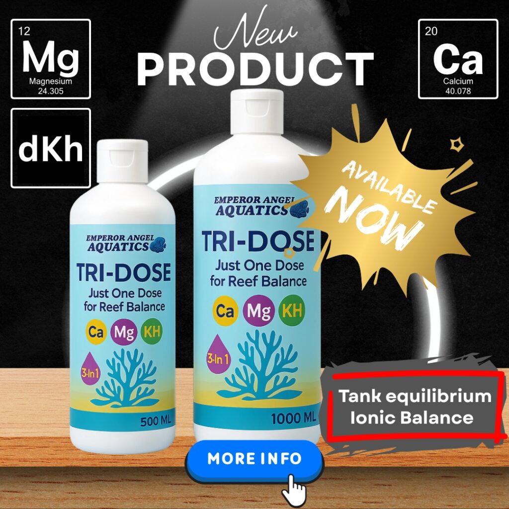Now available